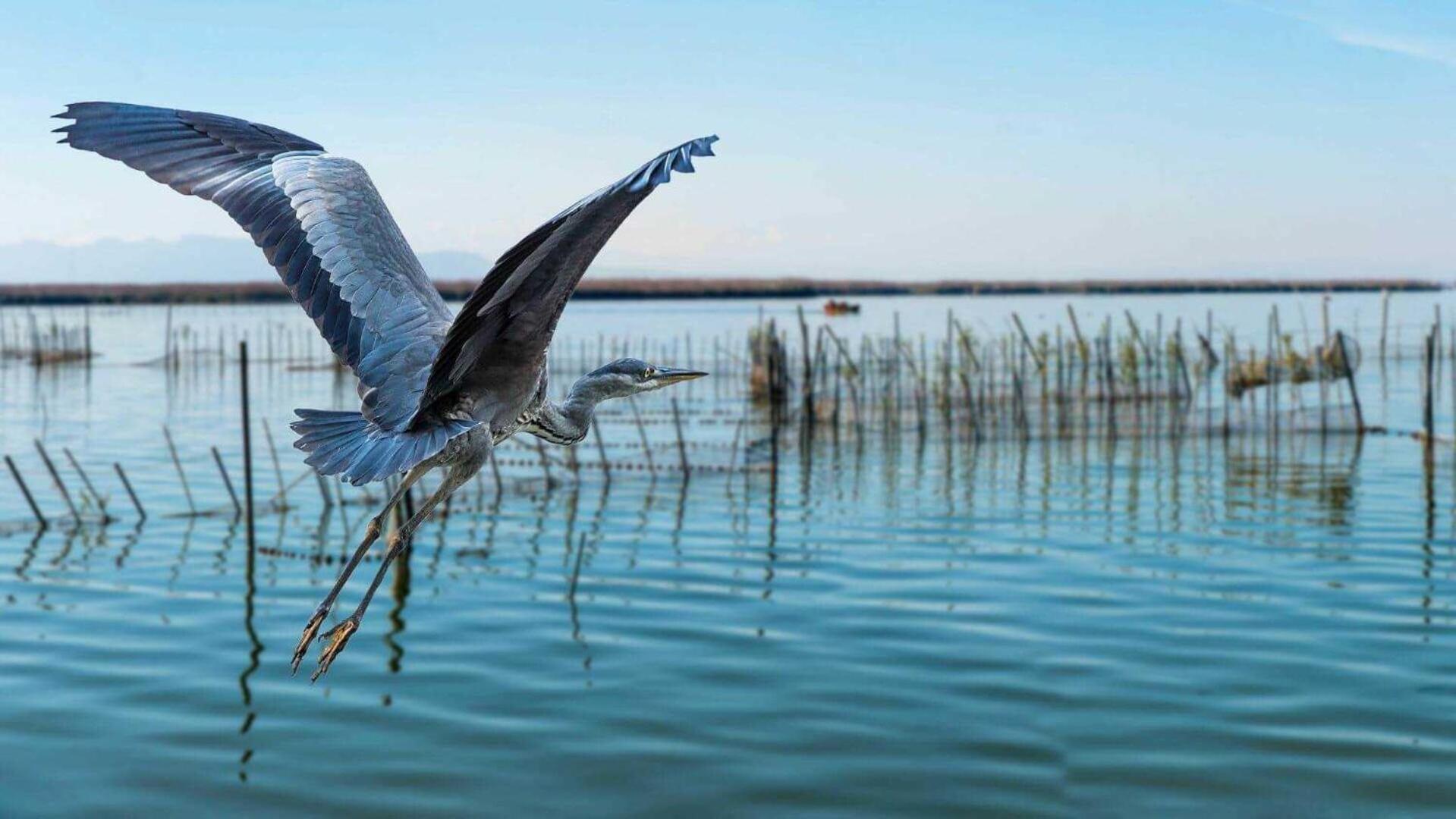 Albufera Dreams Nature Suites Валенсия Экстерьер фото